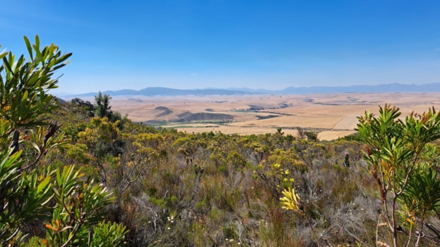 0 Bedroom Property for Sale in Caledon Rural Western Cape